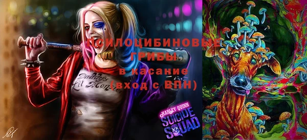 герыч Богородск